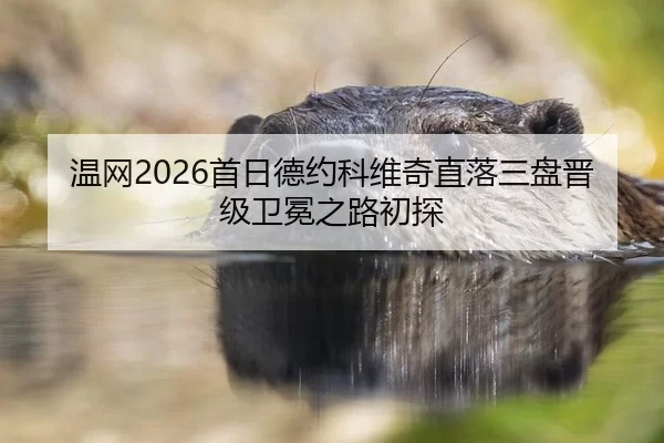 wen-wang-shou-ri-de-yue-ke-wei-qi-zhi-luo-san-pan-jin-ji-wei-mian-zhi-lu-chu-tan-2-229.jpg